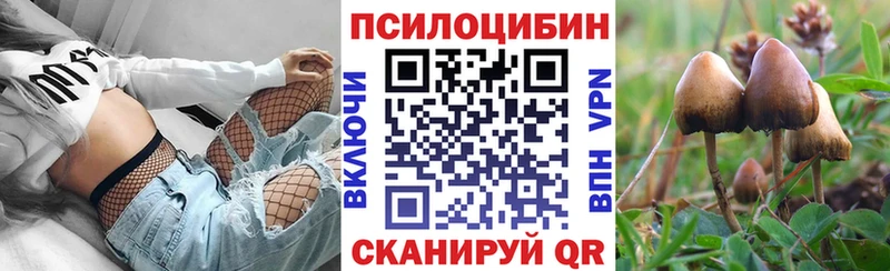 Галлюциногенные грибы мицелий даркнет сайт Ветлуга